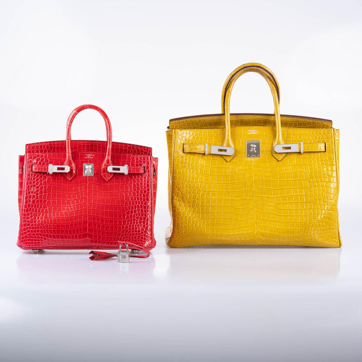 Hermès Birkin 25 Rouge de Coeur Shiny Porosus Crocodile 18K White Gold Hardware & Diamonds - 2020, Y