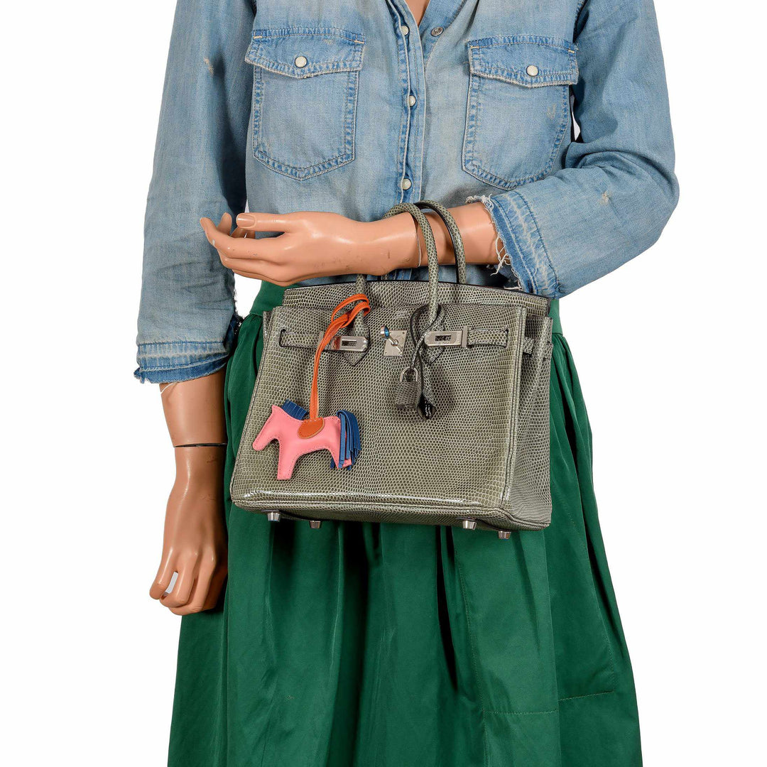 Hermès Birkin 25 Vert De Gris Salvator Lizard Palladium Hardware - Rare