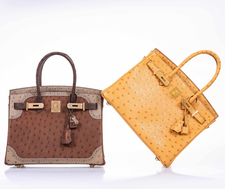 Top quality Hermes Birkin 30 Ghillies Marron Fonce, Etrusque, Mousse Ostrich Champagne Gold Hardware