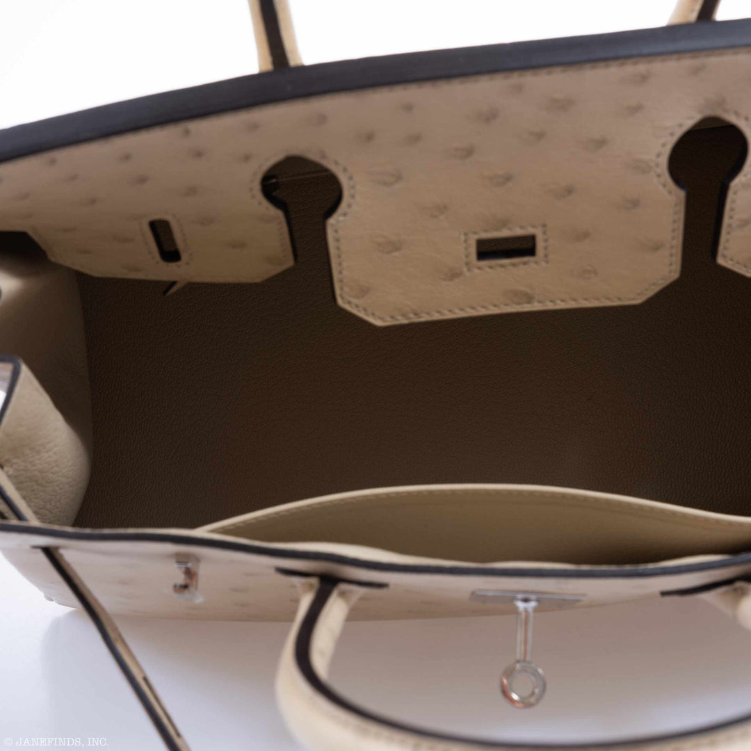 Top quality Hermes Birkin 30 Parchemin Ostrich Palladium Hardware