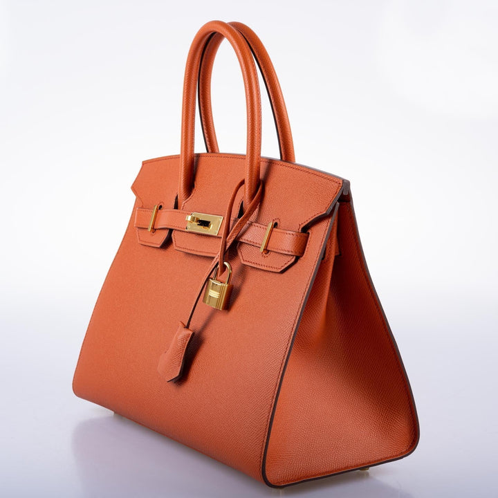 Hermes Birkin 30 Sellier Terre Battue Epsom Leather Gold Hardware
