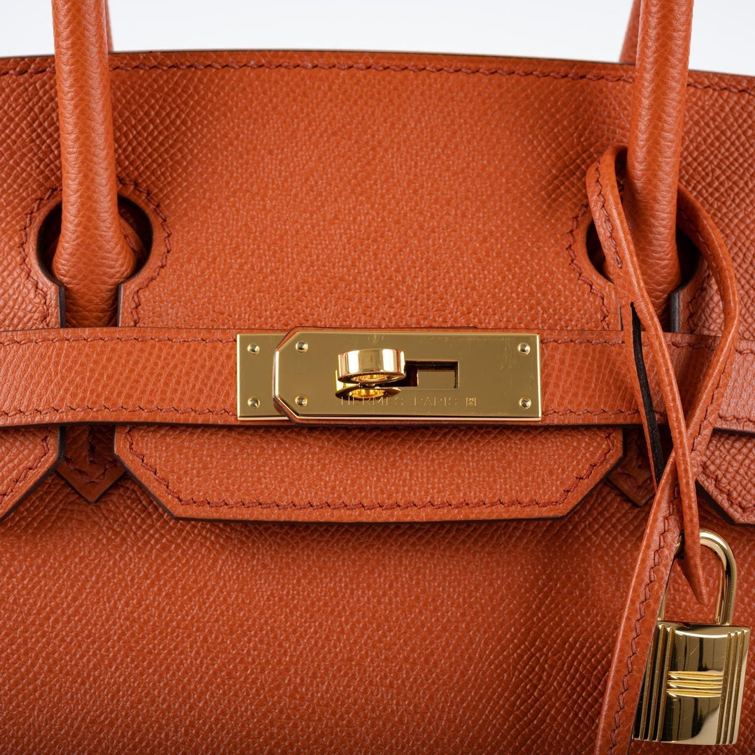 Hermes Birkin 30 Sellier Terre Battue Epsom Leather Gold Hardware