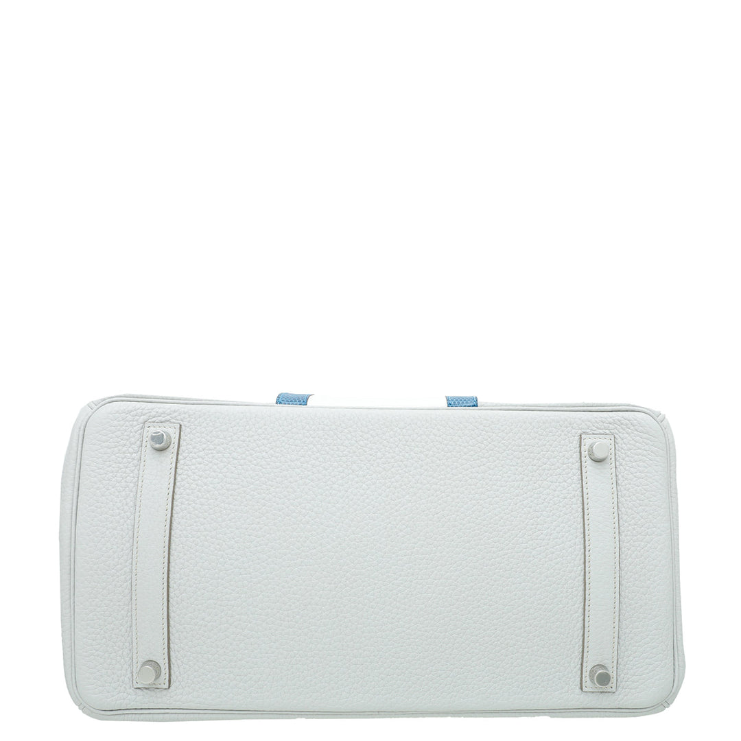 Hermes Tricolor Club Birkin 35 Ltd. Ed. Bag