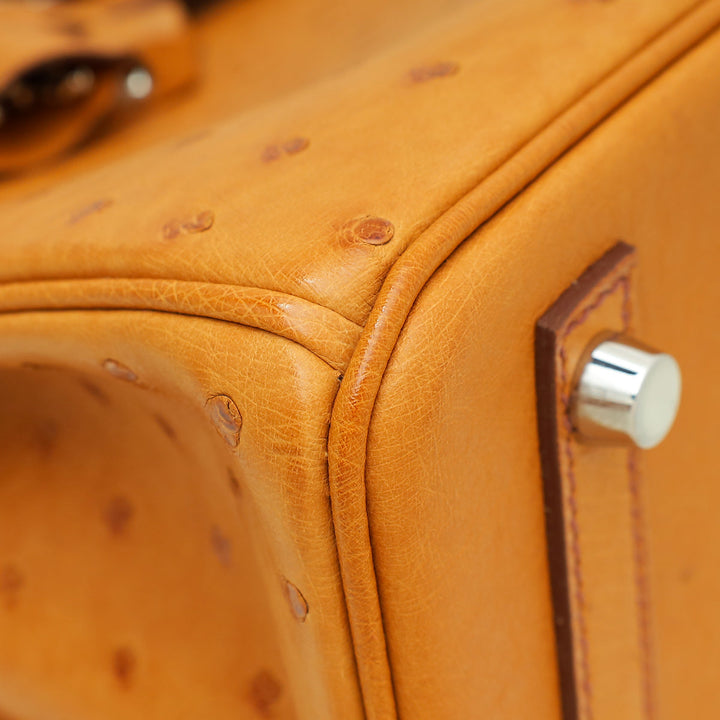 Top quality Hermes Cognac Ostrich Birkin 30 Bag