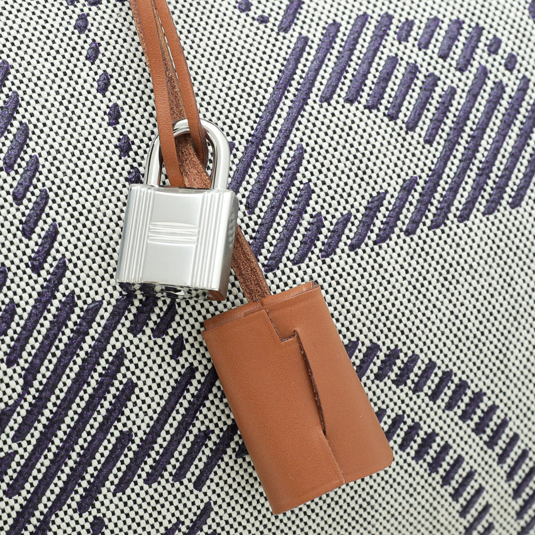 Hermes Tricolor Vache Hunter "Brides de Gala Desordre" Herbag Zip 31 PM Bag