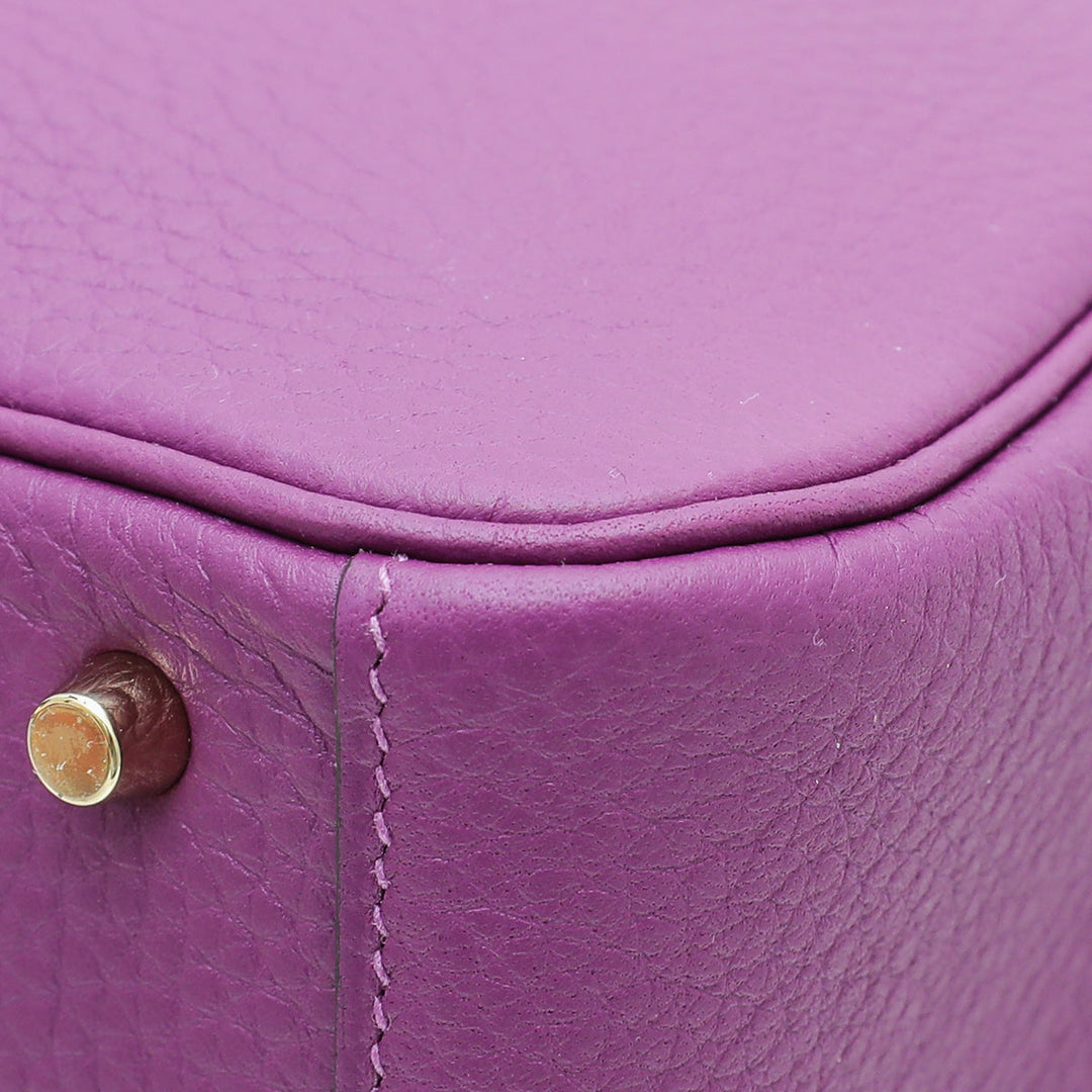 Hermes Anemone Mini Lindy 20 Bag