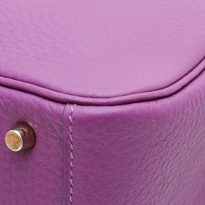 Hermes Anemone Mini Lindy 20 Bag