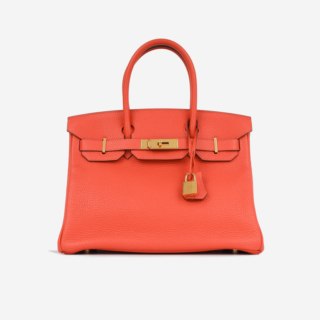 Birkin 30 - Rose Jaipur
