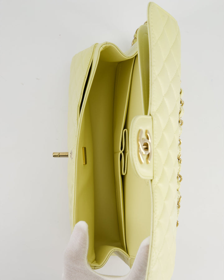 *RARE* Top Quality Chanel Lemon Sobert Shimmer Medium Classic Double Flap Bag in Iridescent Calfskin Gold Hardware  RRP ¬£8,530