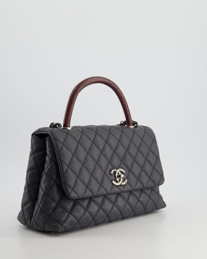 *RARE* Top Quality Chanel Medium Coco Top Handle Bag Grey Caviar with Python Handle and Ruthenium Hardware