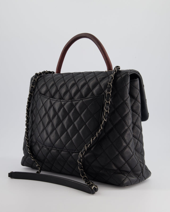 Top Quality Chanel Dark Grey Large Coco Top Handle Bag in Caviar Leather with Burgundy Python Handle and Ruthenium Hardware