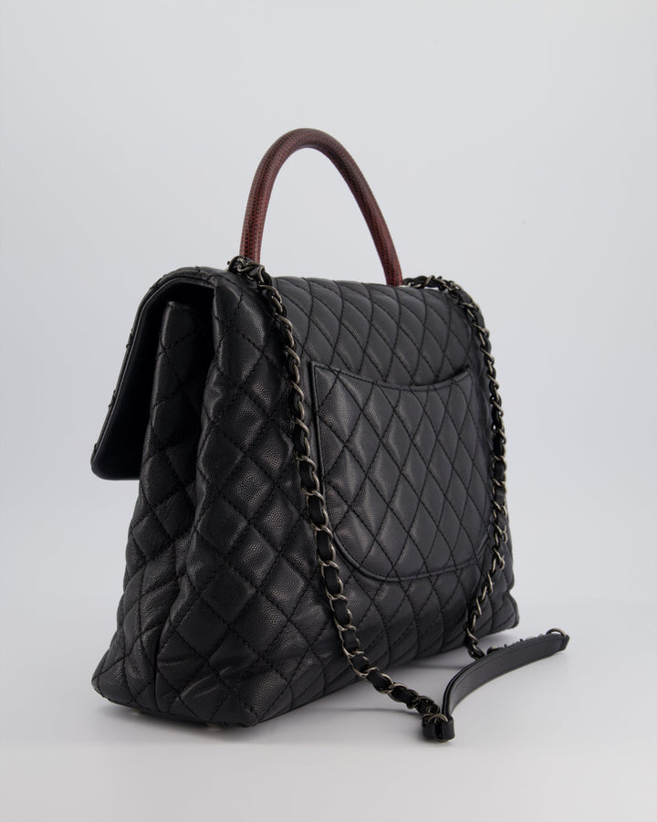 Top Quality Chanel Dark Grey Large Coco Top Handle Bag in Caviar Leather with Burgundy Python Handle and Ruthenium Hardware