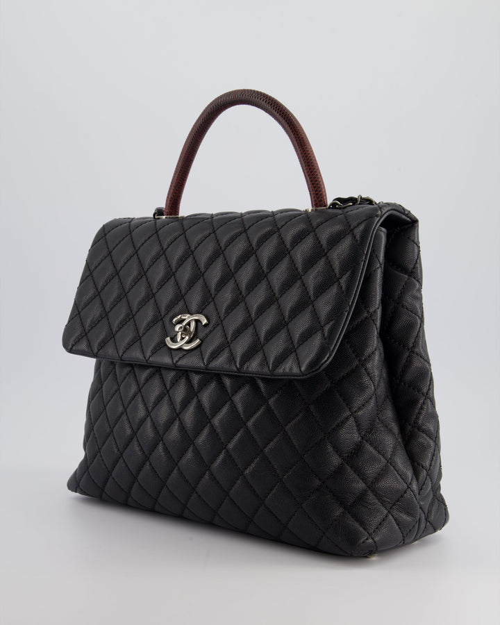 Top Quality Chanel Dark Grey Large Coco Top Handle Bag in Caviar Leather with Burgundy Python Handle and Ruthenium Hardware