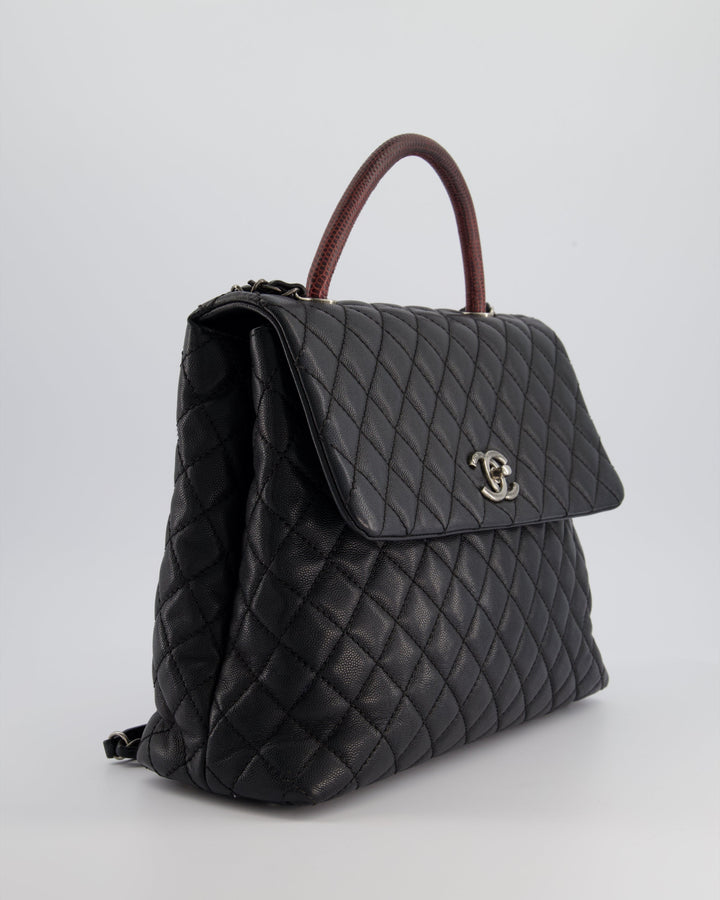 Top Quality Chanel Dark Grey Large Coco Top Handle Bag in Caviar Leather with Burgundy Python Handle and Ruthenium Hardware