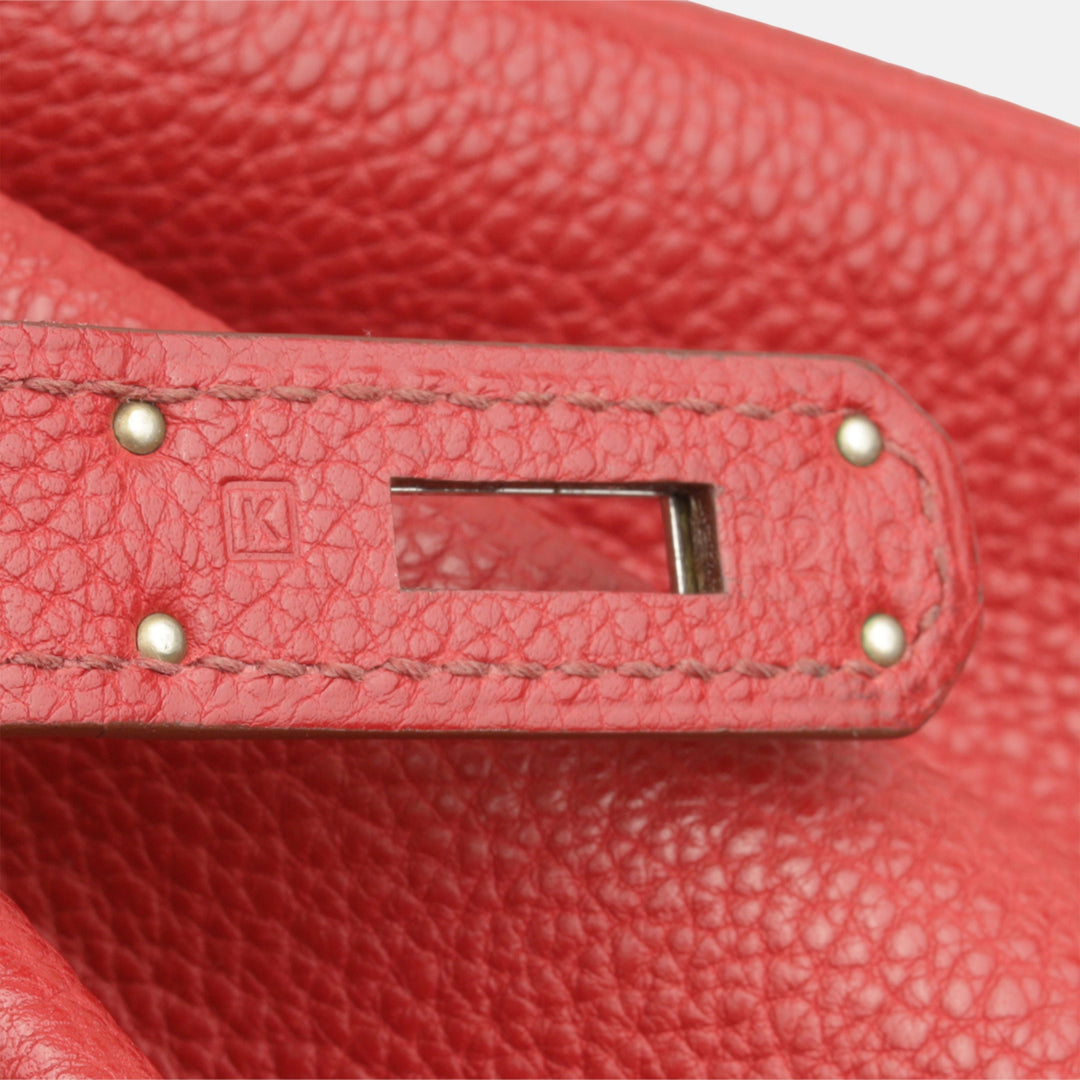 Birkin 35 - Rouge Grenat