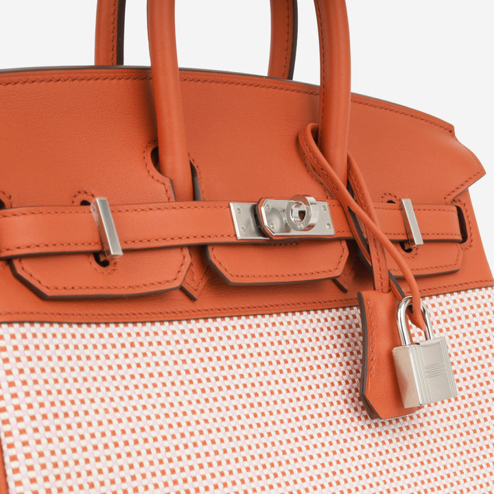 Birkin 25 Toile