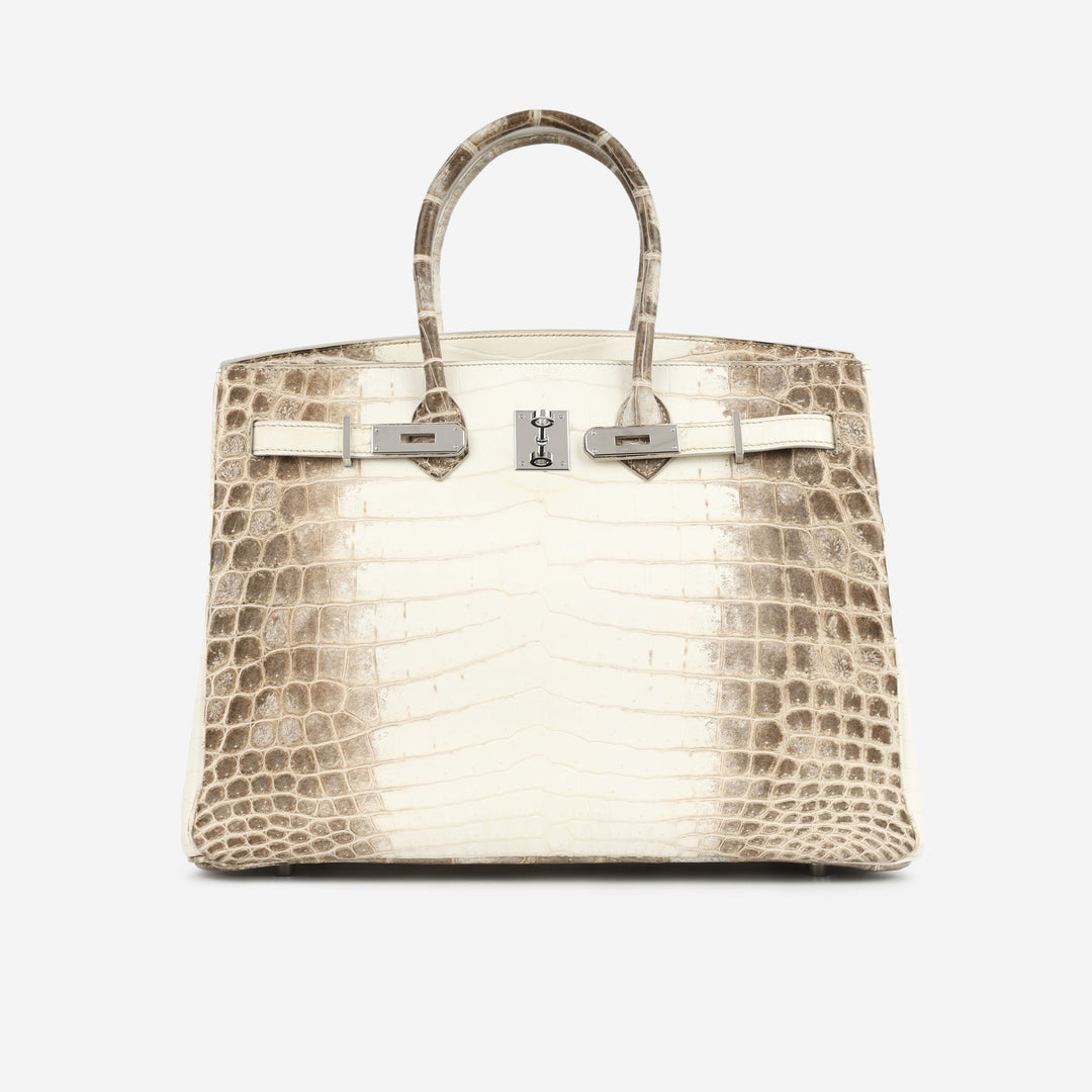 Birkin 35 - Himalaya Crocodile Niloticus
