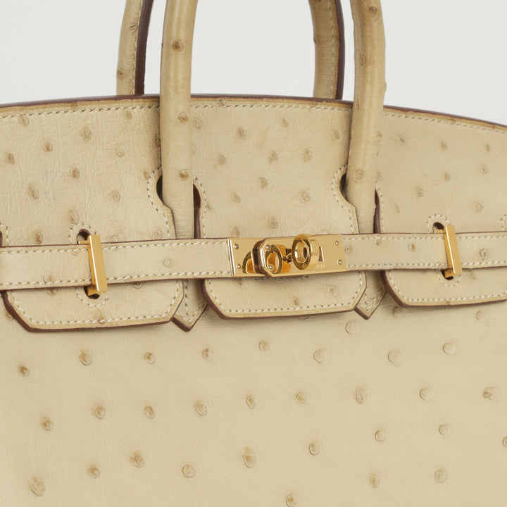 Birkin 25 - Parchemin