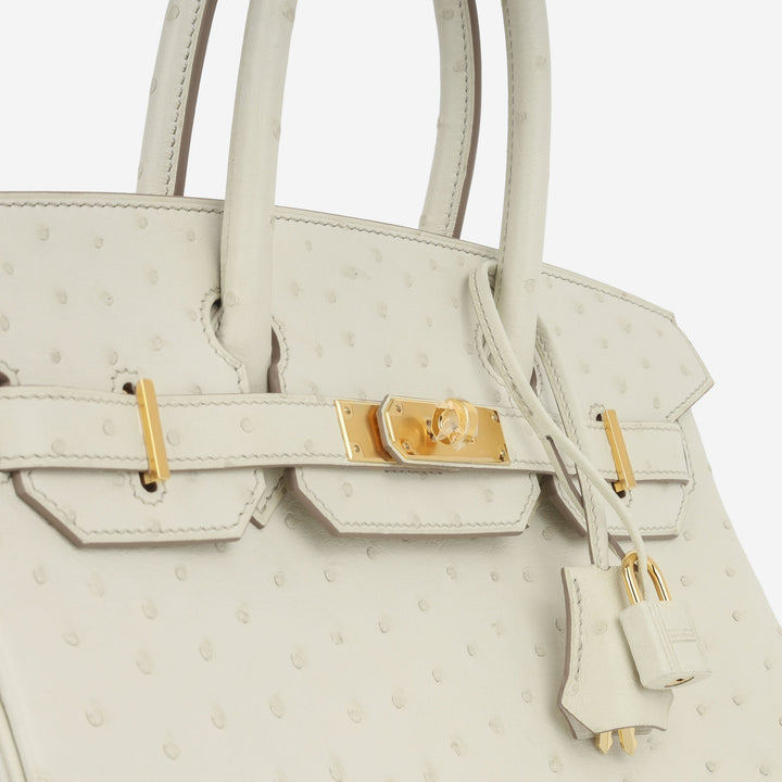 Birkin 30