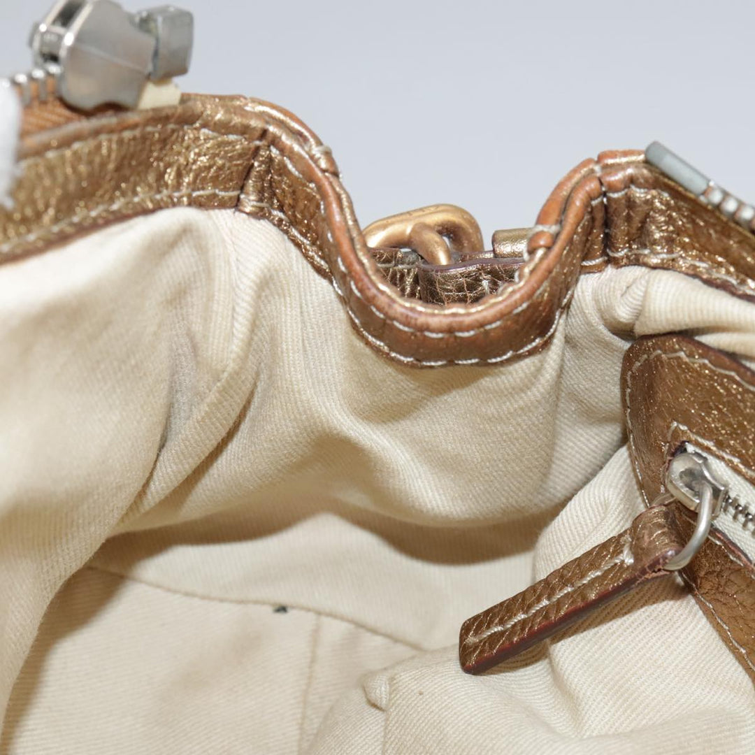 Chloe Paddington Hand Bag Leather Gold Tone ac3429