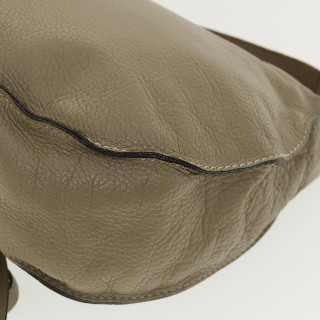 Chloe Shoulder Bag Leather Gray am3860