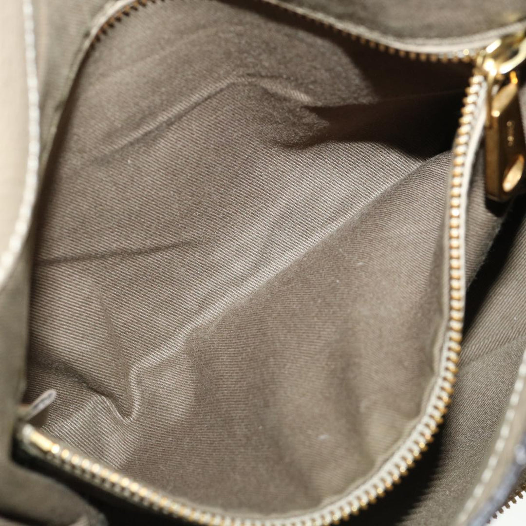 Chloe Shoulder Bag Leather Gray am3860