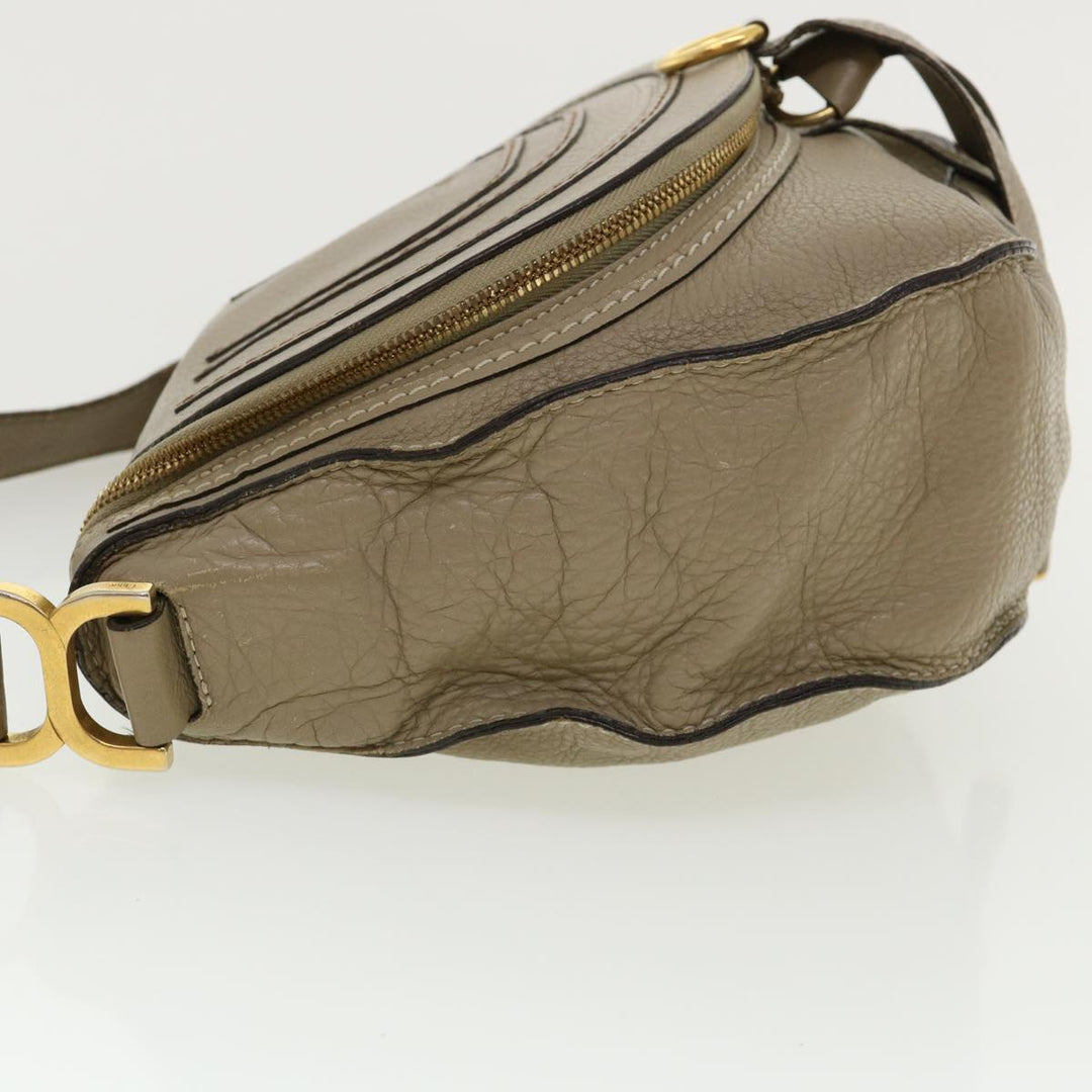 Chloe Shoulder Bag Leather Gray am3860
