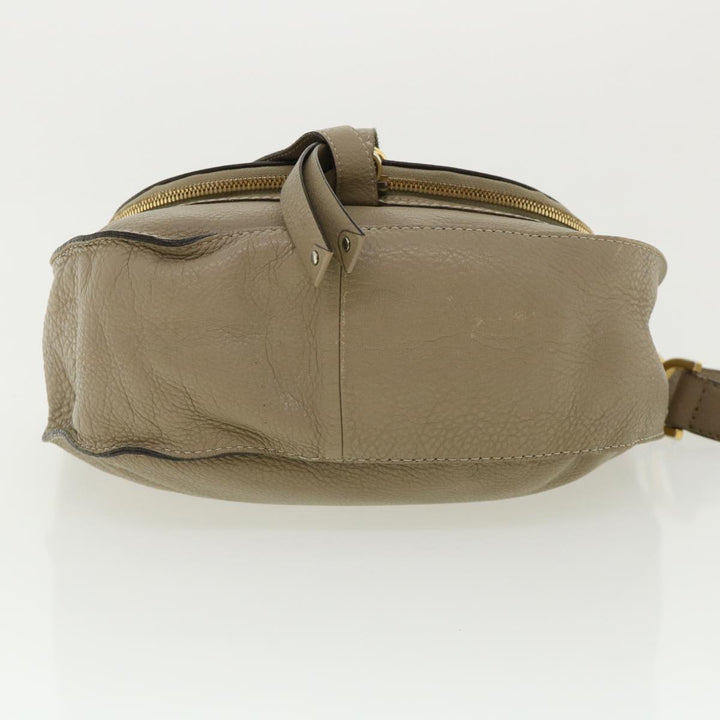 Chloe Shoulder Bag Leather Gray am3860
