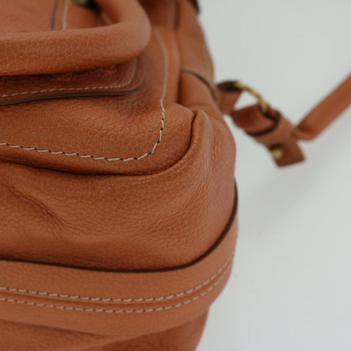 Chloe Paraty Hand Bag Leather Orange am5796