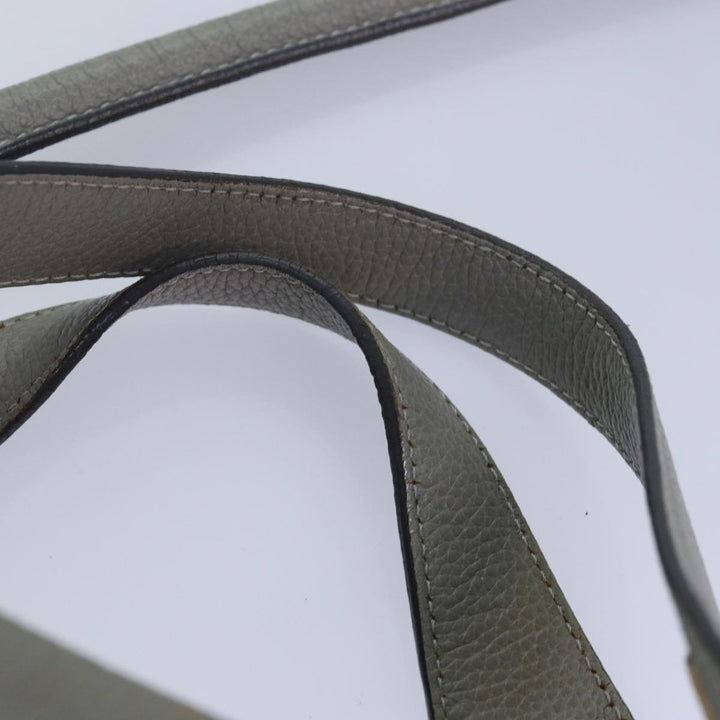 Chloe Paraty Hand Bag Leather 2way Gray am6680