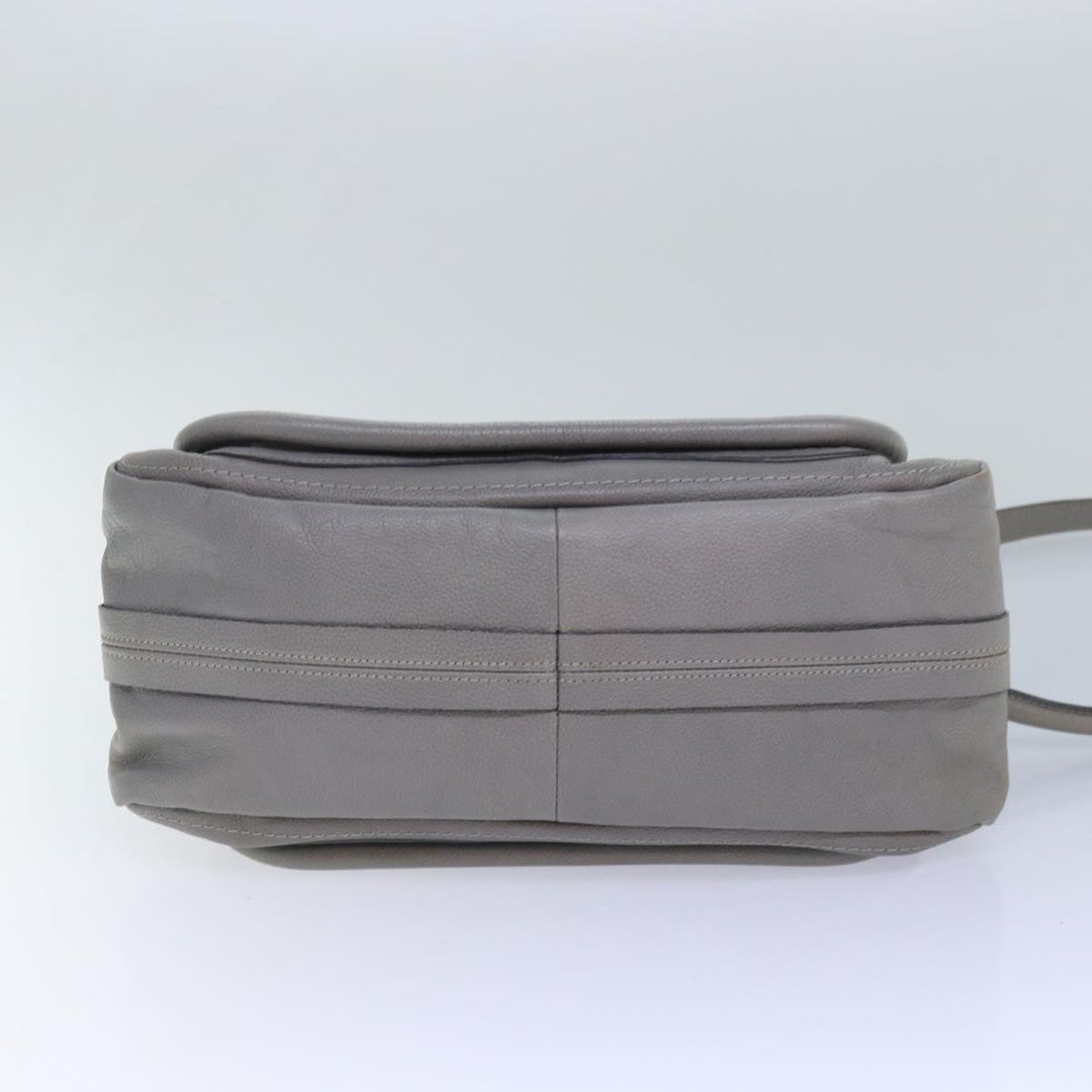 Chloe Paraty Hand Bag Leather 2way Gray am6680