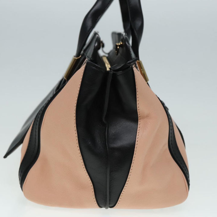 Chloe Alice Hand Bag Leather 2way Black Pink am6912