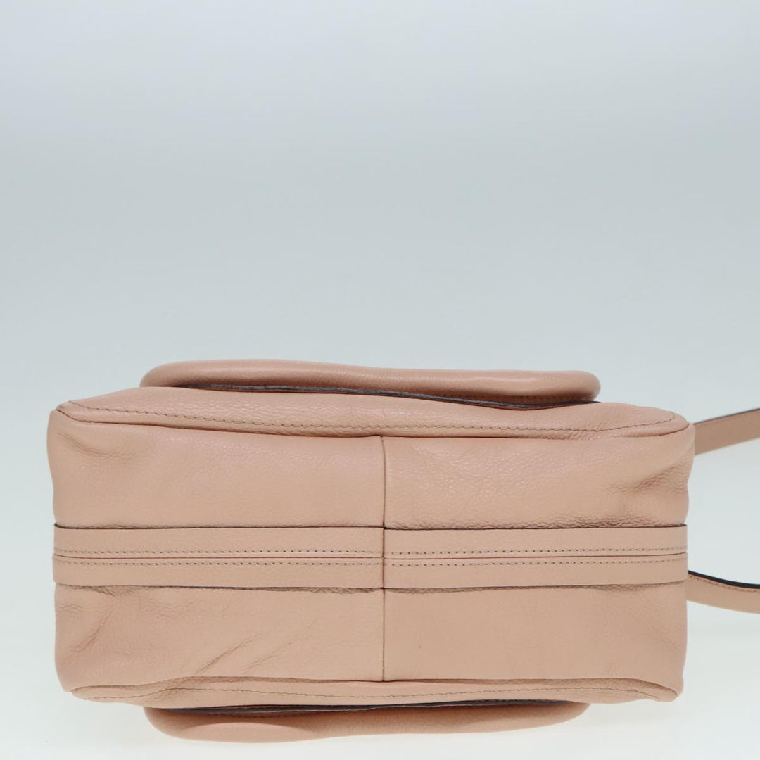Chloe Paraty Hand Bag Leather 2way Pink am6963