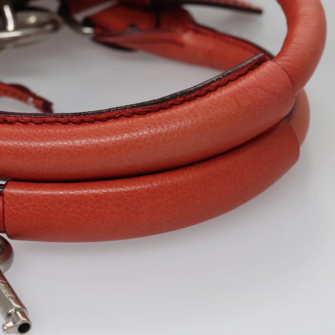 Chloe Paddington Hand Bag Leather Red Gold Silver am7388