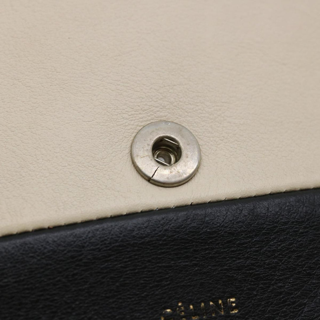 Celine Pouch Leather Black Brown  ar8106B