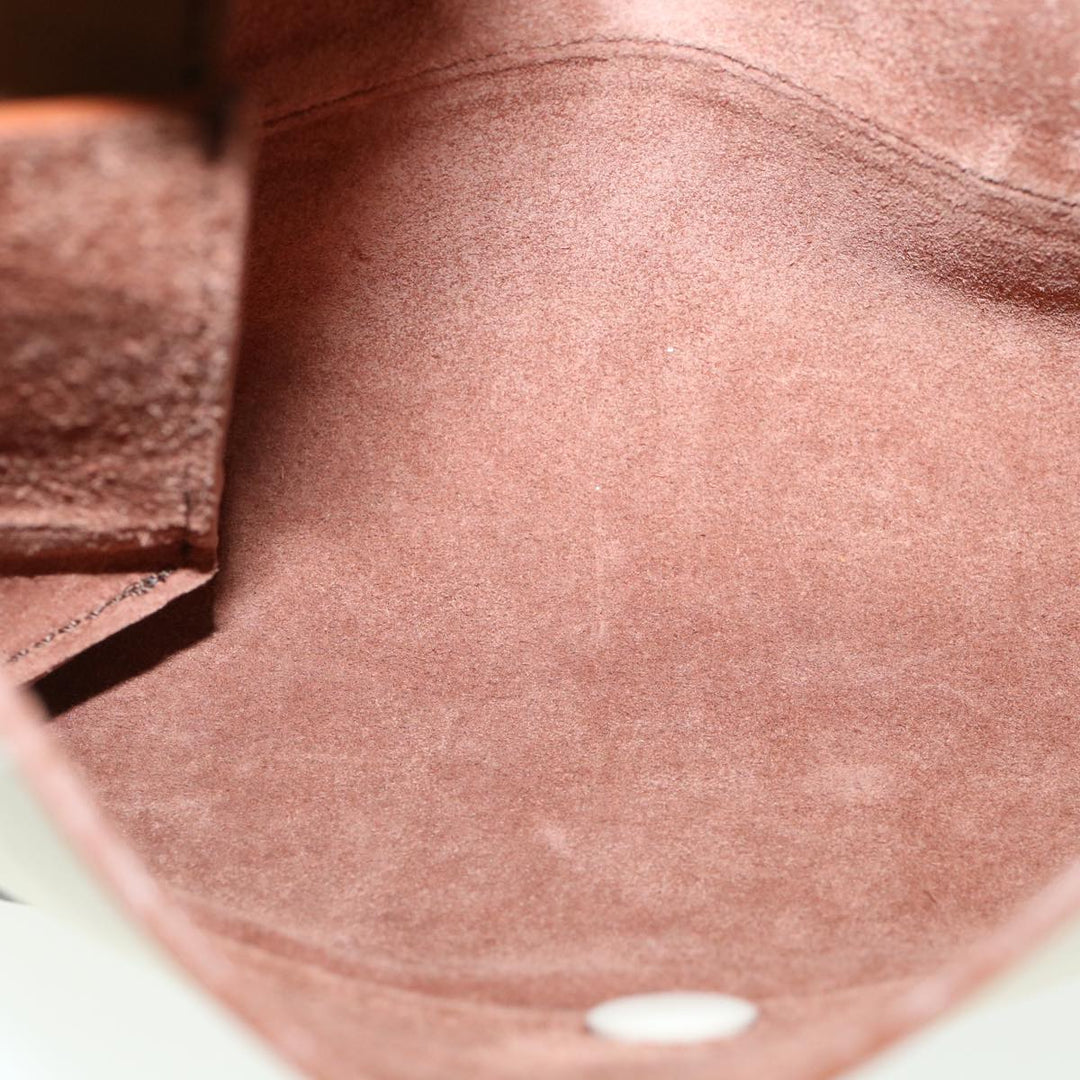 Celine Pouch Leather Black Brown  ar8106B