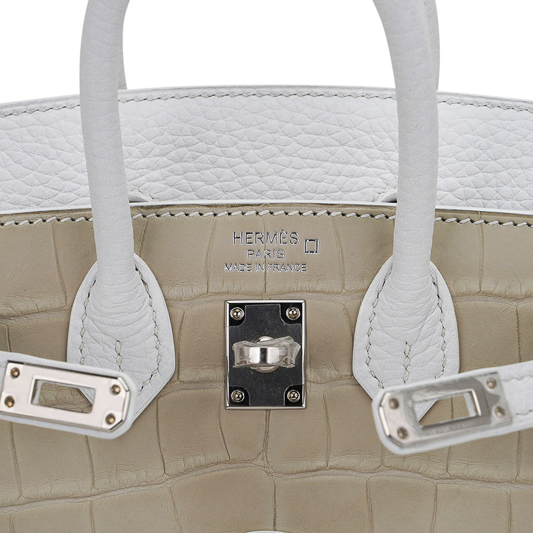 Top quality Hermes Limited Edition Birkin 20 Faubourg Sellier Bag Neige (Snow) White Matte Alligator