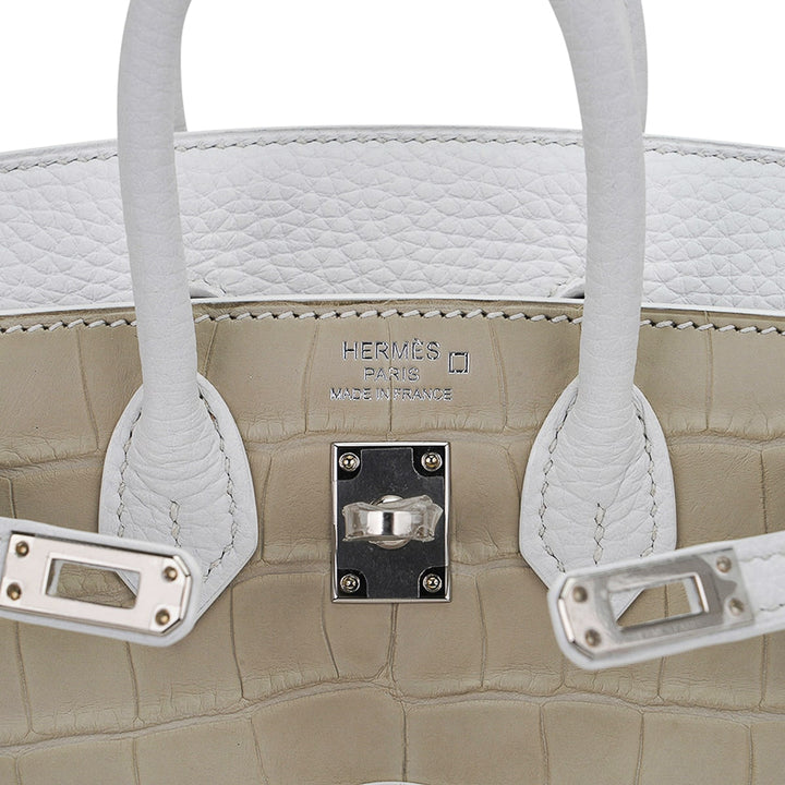 Top quality Hermes Limited Edition Birkin 20 Faubourg Sellier Bag Neige (Snow) White Matte Alligator