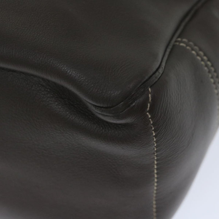 Celine Hand Bag Leather Brown  10411