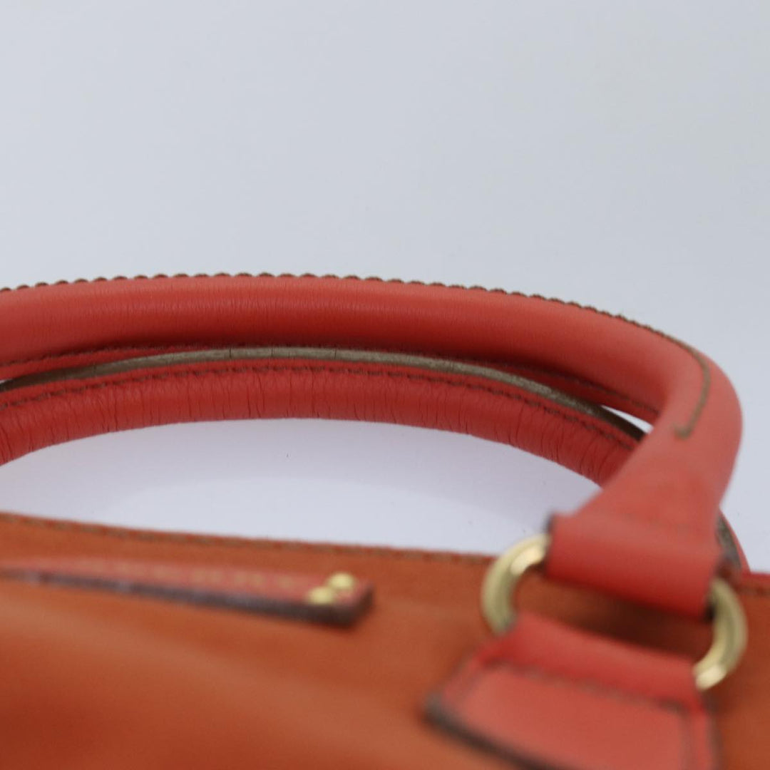 Burberry Blue Label Hand Bag Canvas 2way Orange Auth bs14381