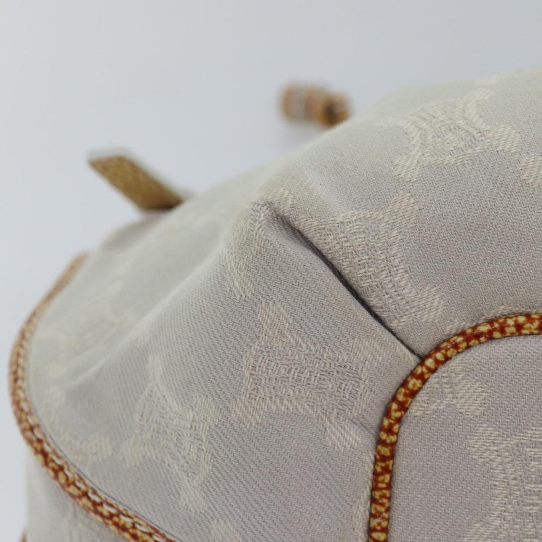 Celine Paris Macadam Canvas Hand Bag Gray Auth bs15279