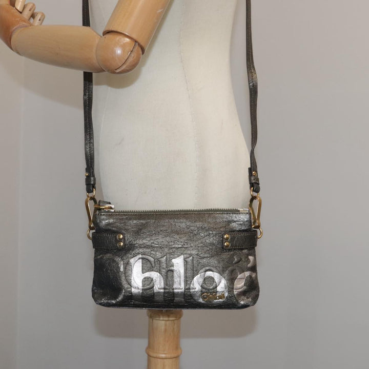 Chloe Shoulder Bag Leather Brown bs20884