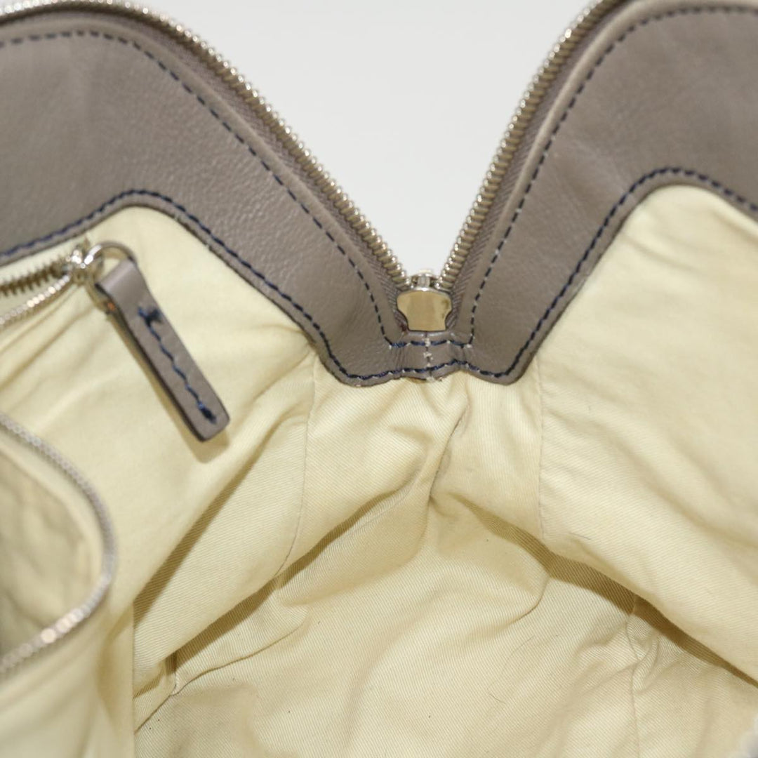 Chloe Hand Bag Leather Gray bs4101