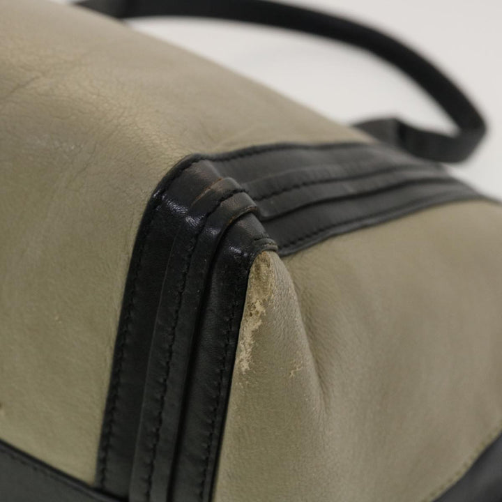 Chloe Hand Bag Leather 2Set Beige Bronze black bs4905