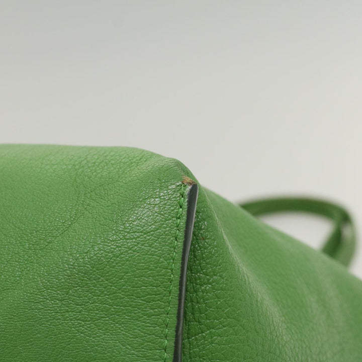 Chloe Shoulder Bag Leather Green bs7864
