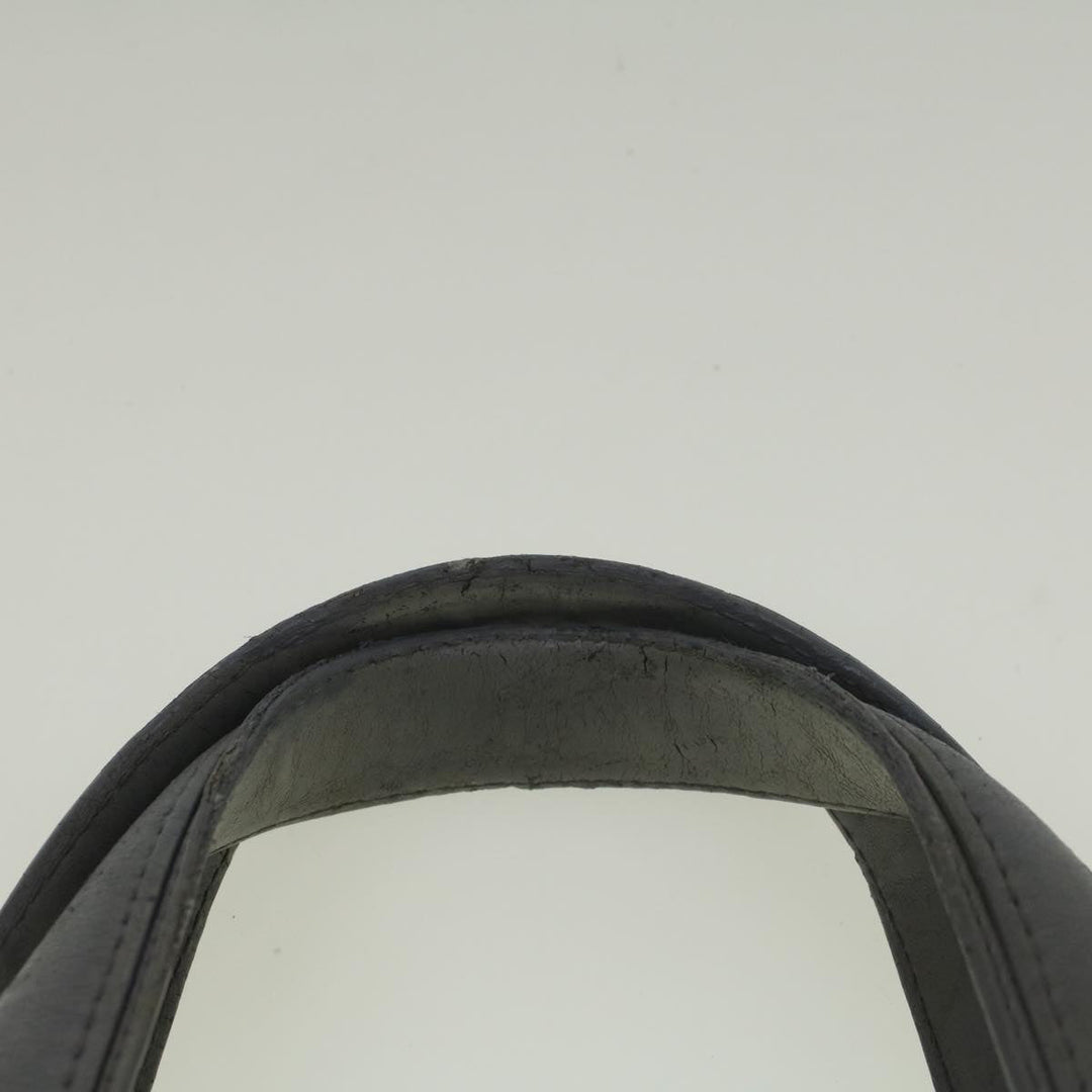 CHRISTIAN Top quality Dior Canage Hand Bag Nylon Gray Auth bs9378