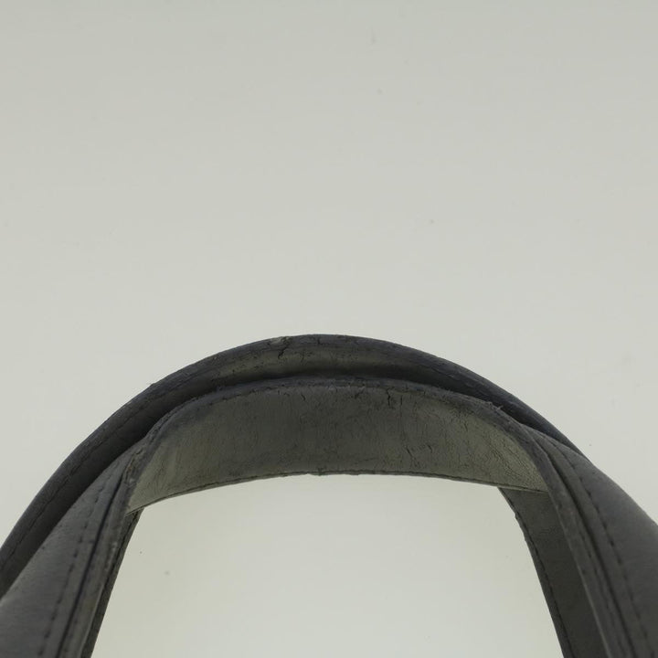 CHRISTIAN Top quality Dior Canage Hand Bag Nylon Gray Auth bs9378