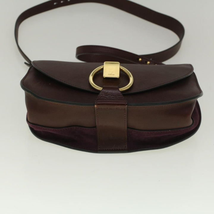 Chloe Goldie Shoulder Bag Leather 2way Wine Red bs9718