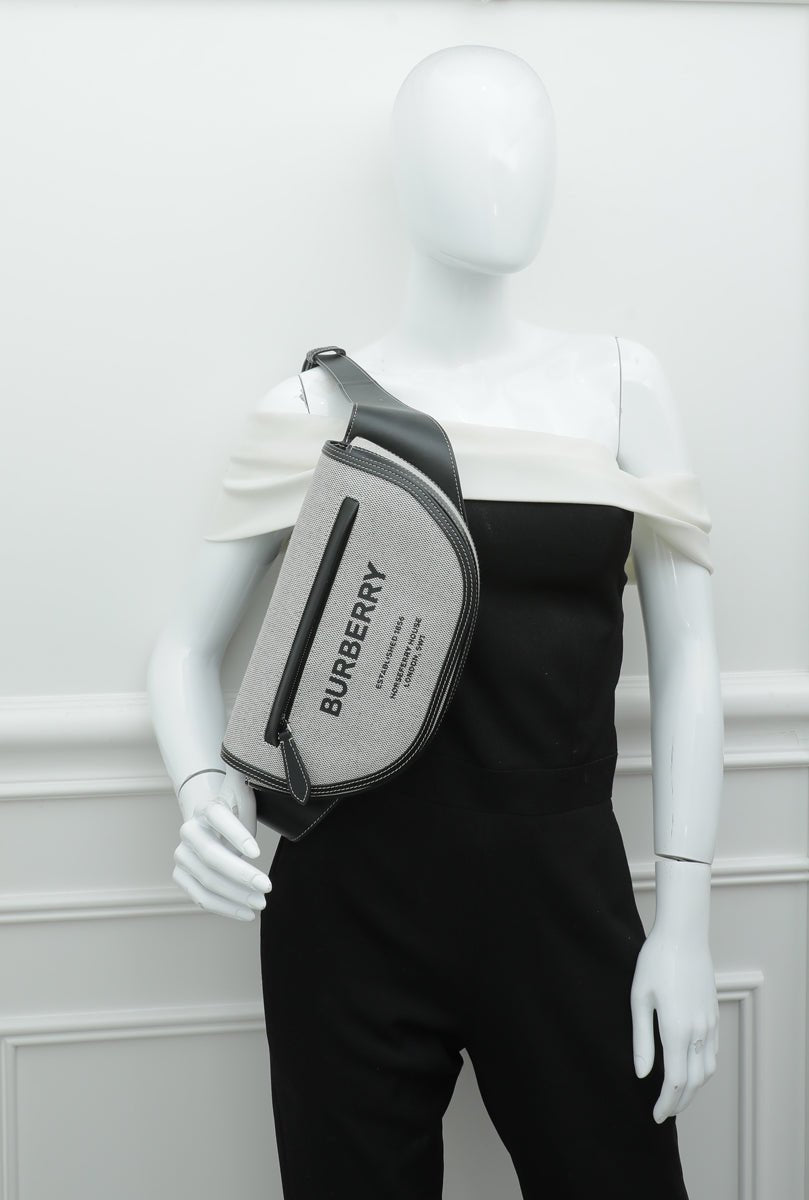 Burberry Bicolor Olympia Bumbag