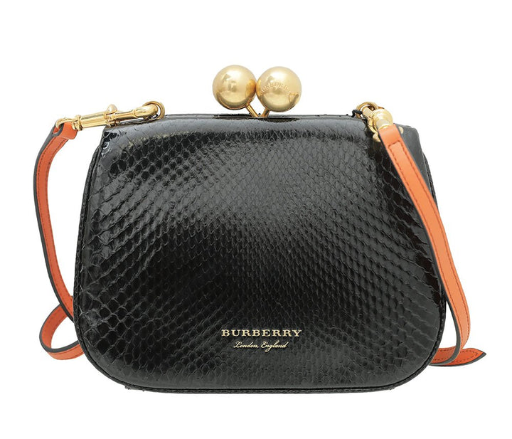 Burberry Bicolor Python Pochette Frame Bag